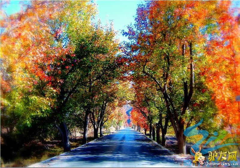 xin_16308081510300781973935 - ����.jpg